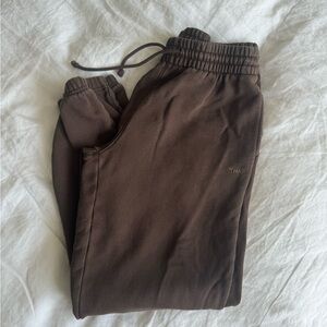 Aritzia TNA Rich Mocha Boyfriend Joggers